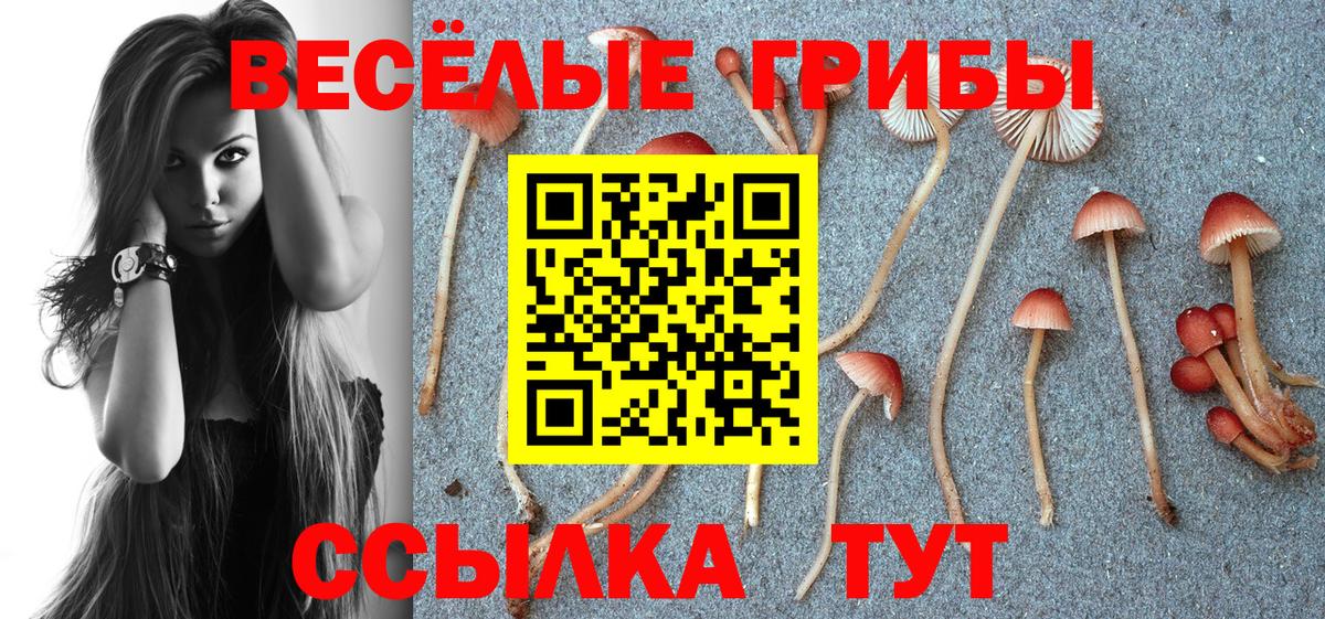 как найти закладки  Галлюциногенные грибы мухоморы  Вход с VPN  Псилоцибиновые грибы прущие грибы  Вязьма 