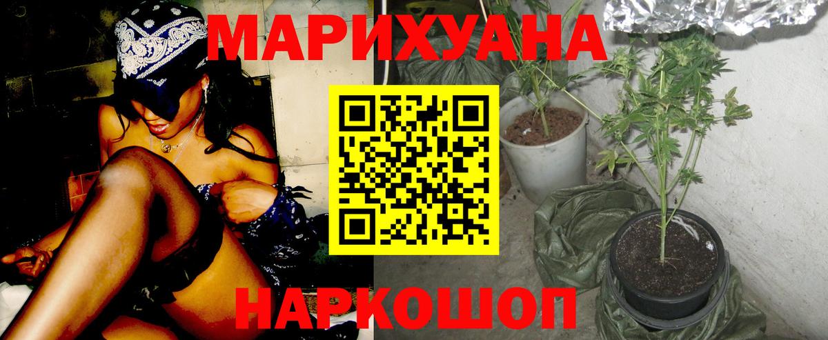 Конопля сатива Вязьма